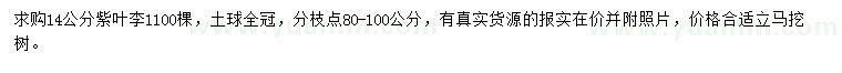 求購14公分紫葉李