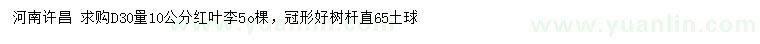 求購地徑30量10公分紅葉李