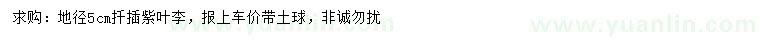 求購地徑5公分扦插紫葉李