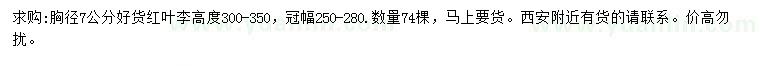 求購(gòu)胸徑7公分紅葉李