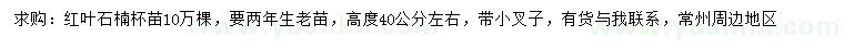 求購高40公分左右紅葉石楠杯苗