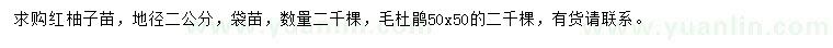 求購(gòu)地徑2公分紅柚子苗、毛杜鵑