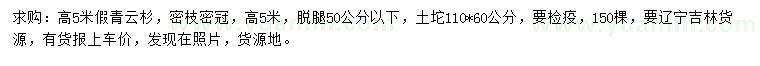 求購高5米假青云杉