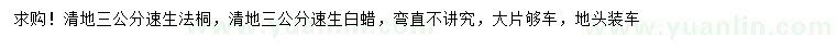 求購3公分速生法桐、速生白蠟