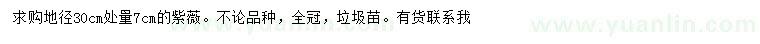 求購(gòu)地徑30公分處量7公分紫薇