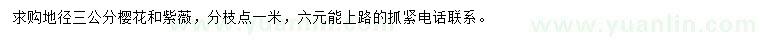 求購地徑3公分櫻花、紫薇