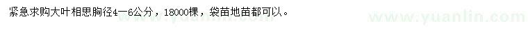 求購胸徑4-6公分大葉相思