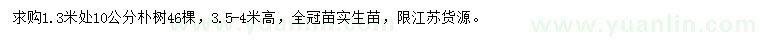 求購1.3米處量10公分樸樹