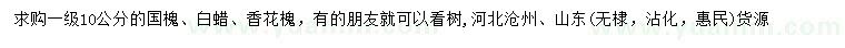 求購(gòu)國(guó)槐、白蠟、香花槐
