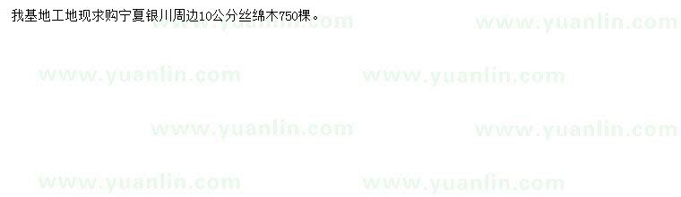求購10公分絲棉木