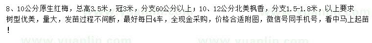 求購8、10公分紅梅、10、12公分北美楓香