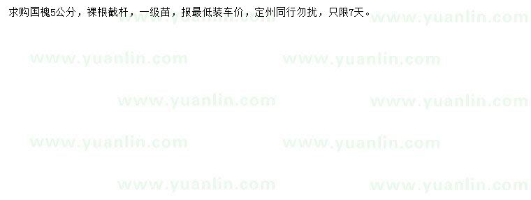 求購(gòu)5公分國(guó)槐