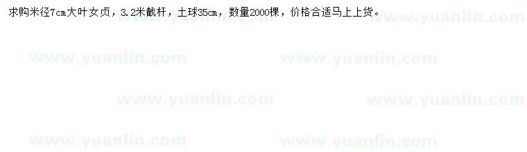求購米徑7公分大葉女貞