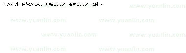 求購(gòu)胸徑20-25公分樸樹(shù)