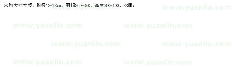 求購胸徑12-13公分大葉女貞
