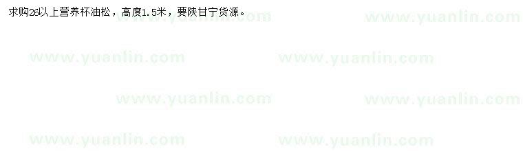 求購(gòu)26公分以上油松