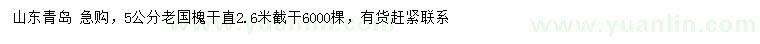 求購5公分老國槐