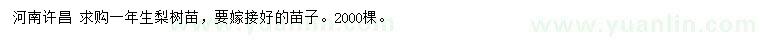 求購一年生梨樹苗