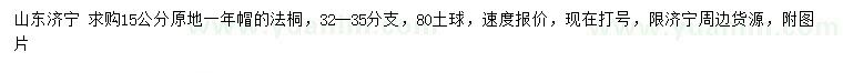 求購15公分法桐