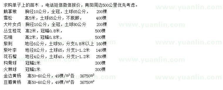 求購鵝掌楸、雪松、大葉女貞等