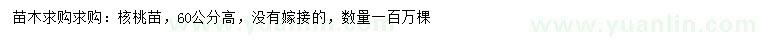 求購(gòu)高60公分核桃苗