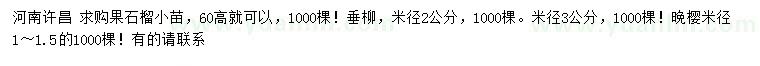 求購果石榴小苗、垂柳、晚櫻
