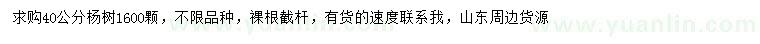 求購40公分楊樹