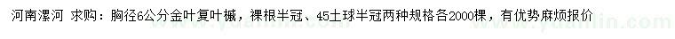求購胸徑6公分金葉復(fù)葉槭