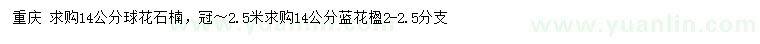 求購14公分石楠球花、藍花楹