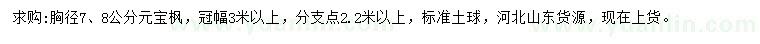 求購(gòu)胸徑7、8公分元寶楓