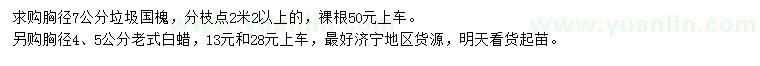 求購胸徑7公分國槐、胸徑4、5公分老式白蠟