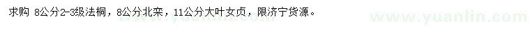 求購法桐、北欒、大葉女貞