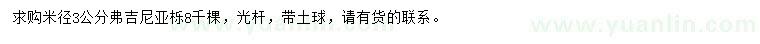求購米徑3公分弗吉尼亞櫟