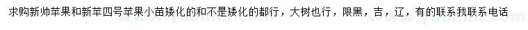 求購(gòu)新帥蘋果、新蘋四號(hào)、蘋果小苗