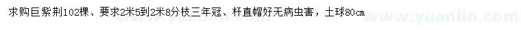 求購分枝2.5-2.8米巨紫荊