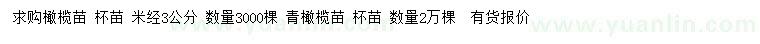求購米徑3公分青橄欖苗