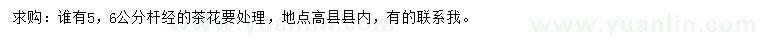 求購桿徑5、6公分茶花