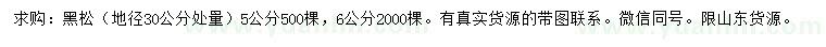 求購(gòu)地徑30公分處量5、6公分黑松