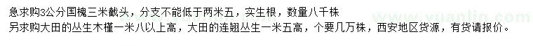 求購(gòu)國(guó)槐、叢生木槿、叢生連翹