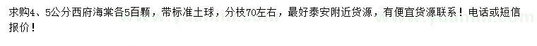 求購4、5公分西府海棠