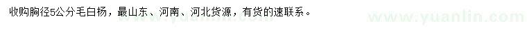 求購胸徑5公分毛白楊