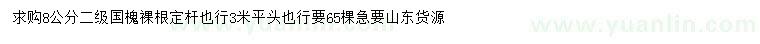 求購8公分國槐