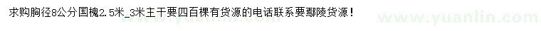 求購(gòu)胸徑8公分國(guó)槐