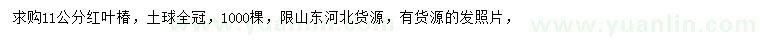 求購(gòu)11公分紅葉椿