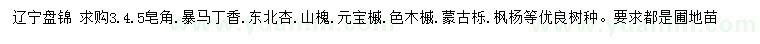 求購皂角、暴馬丁香、東北杏等