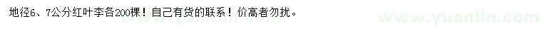 求購地徑6、7公分紅葉李
