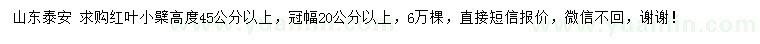 求購高45公分以上紅葉小檗