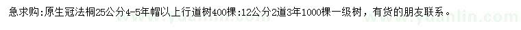 求購12、25公分法桐
