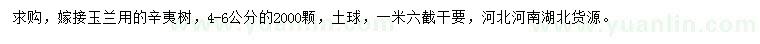 求購4-6公分辛夷樹