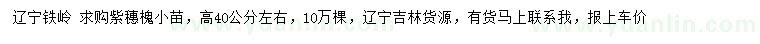 求購高40公分左右紫穗槐小苗